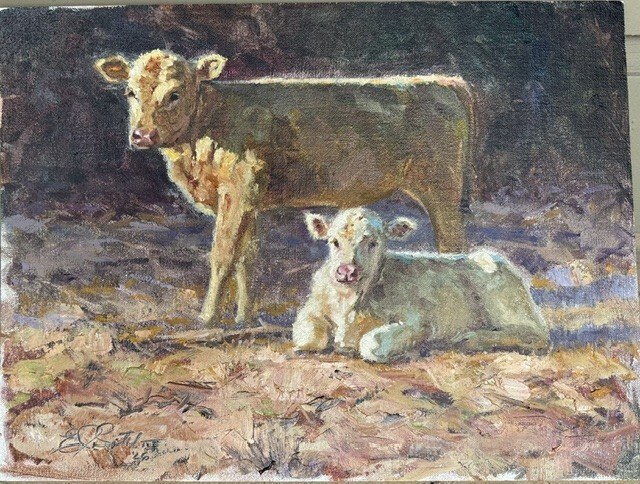 Cow standing protectively behind a resting white calf in Cream and Sugar